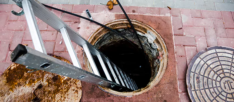 Emergency Sewer Replacement Services in Bolton, ON
