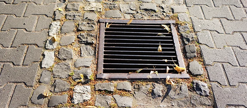 Catch Basin Installation and Maintenance in Bolton, Ontario